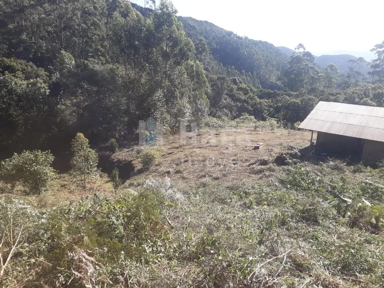 Chácara à venda de 4 ha em Nova Trento, SC, Brasil