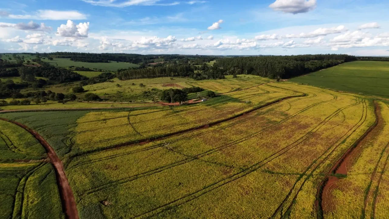 Fazenda à venda de 208 ha em Avaré, SP, Brasil