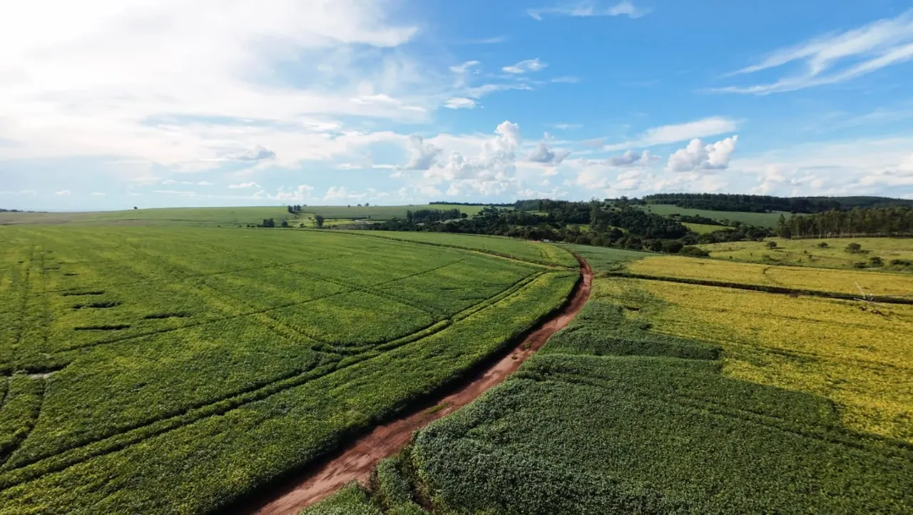 Fazenda à venda de 208 ha em Avaré, SP, Brasil