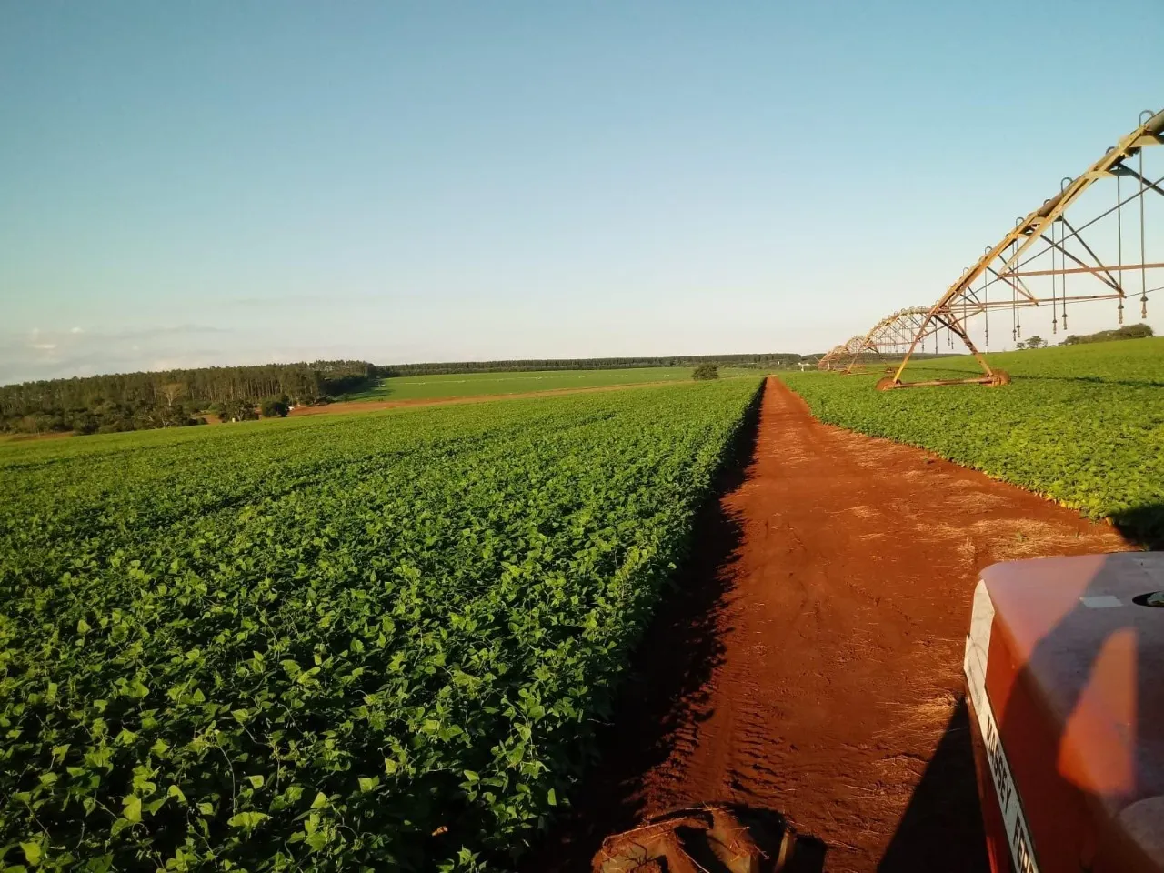 Fazenda à venda de 208 ha em Avaré, SP, Brasil