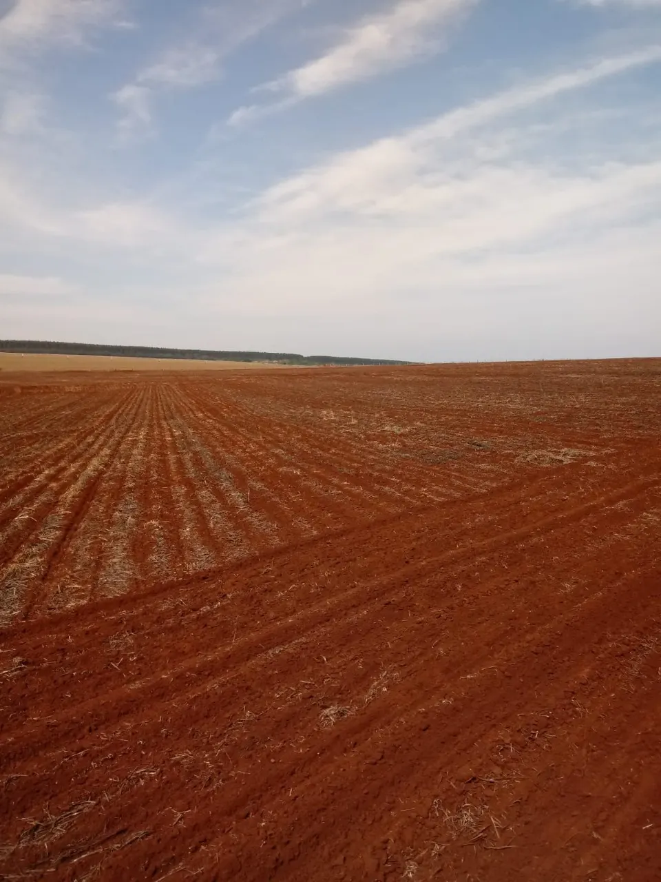 Fazenda à venda de 208 ha em Avaré, SP, Brasil