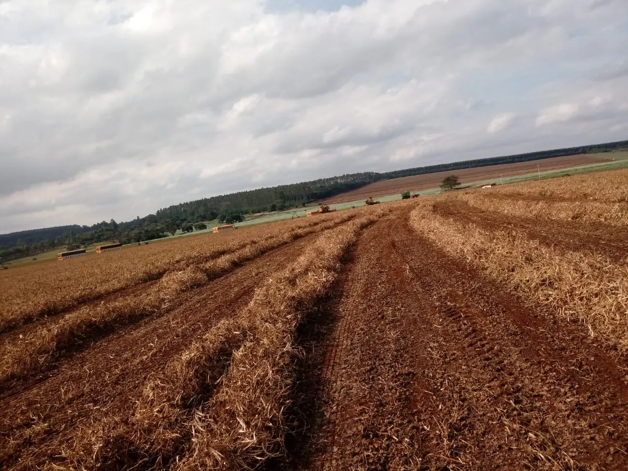 Fazenda à venda de 208 ha em Avaré, SP, Brasil