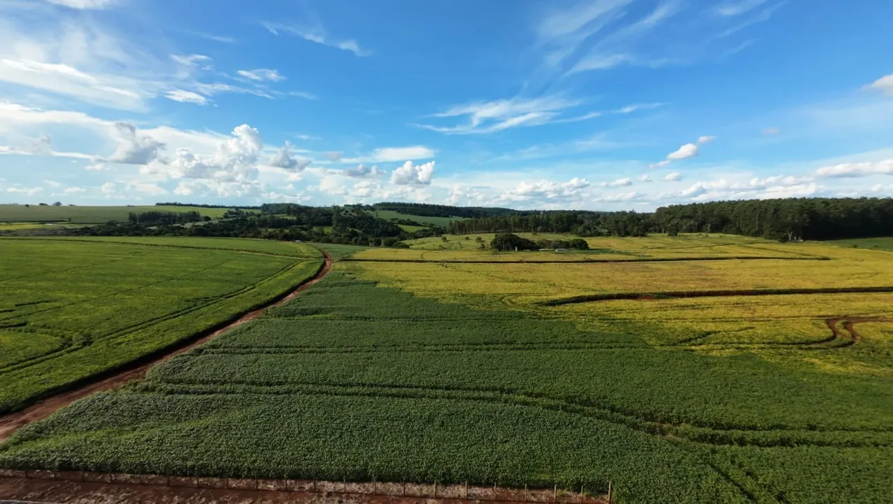 Fazenda à venda de 208 ha em Avaré, SP, Brasil