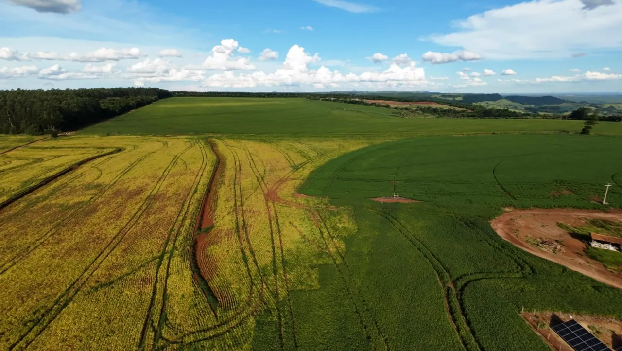 Fazenda à venda de 208 ha em Avaré, SP, Brasil