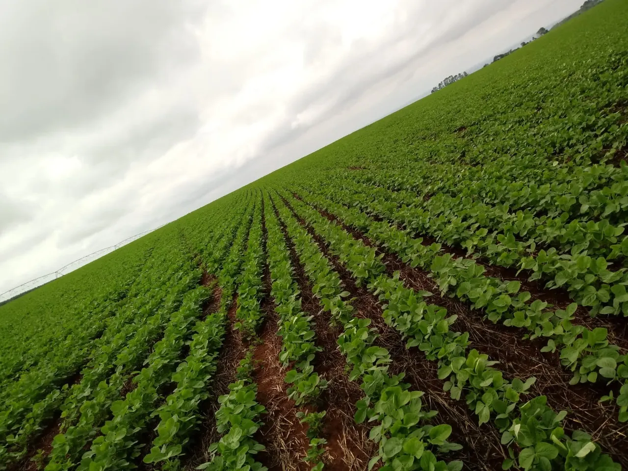 Fazenda à venda de 208 ha em Avaré, SP, Brasil