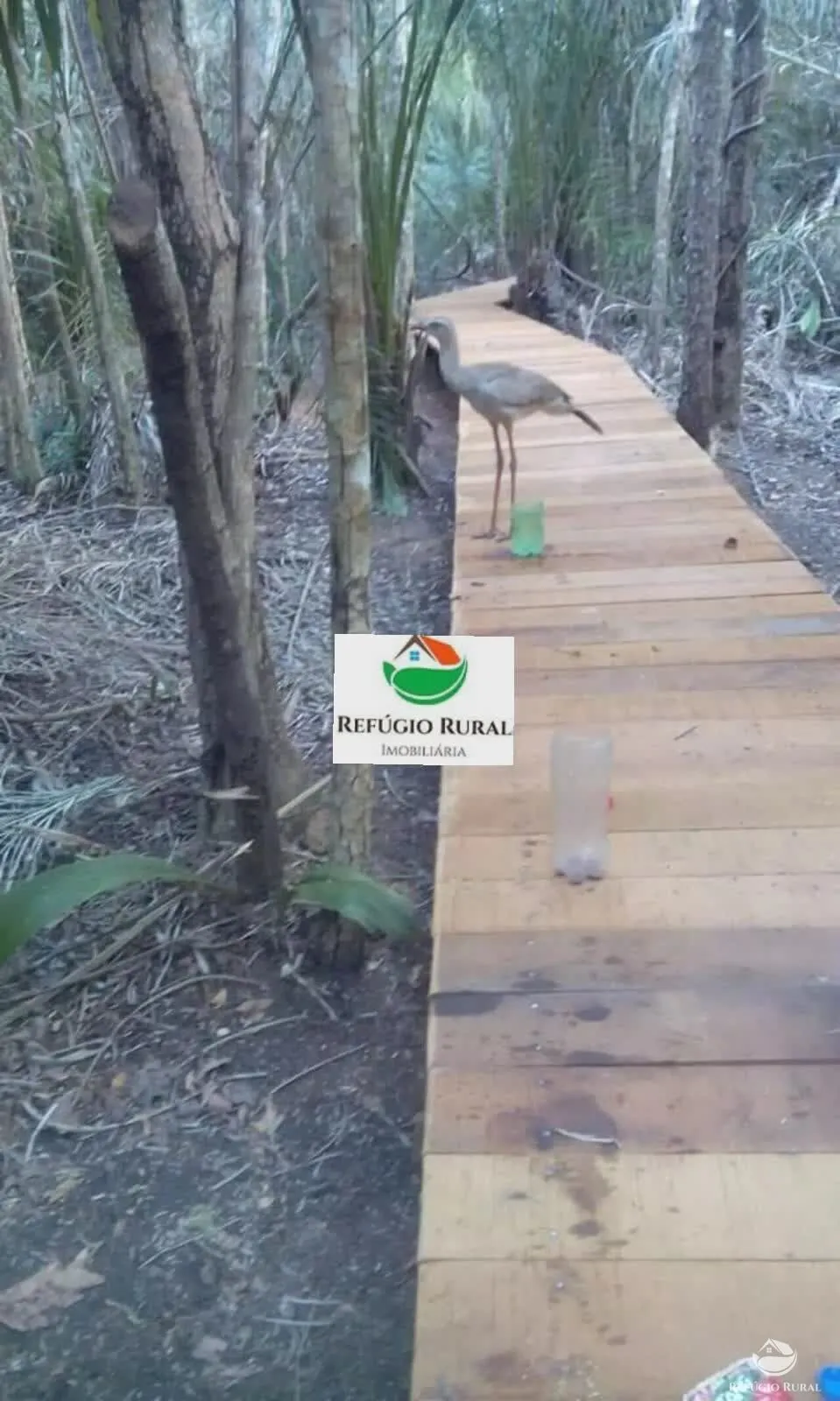 Chácara à venda de 8 ha em Bonito, MS, Brasil