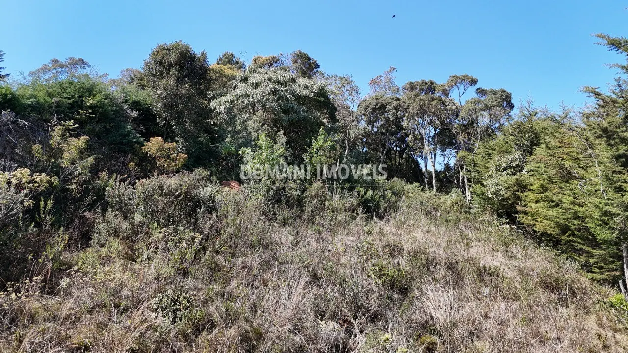 Plot for sale of 1,010 m² in Campos do Jordão, SP, Brazil