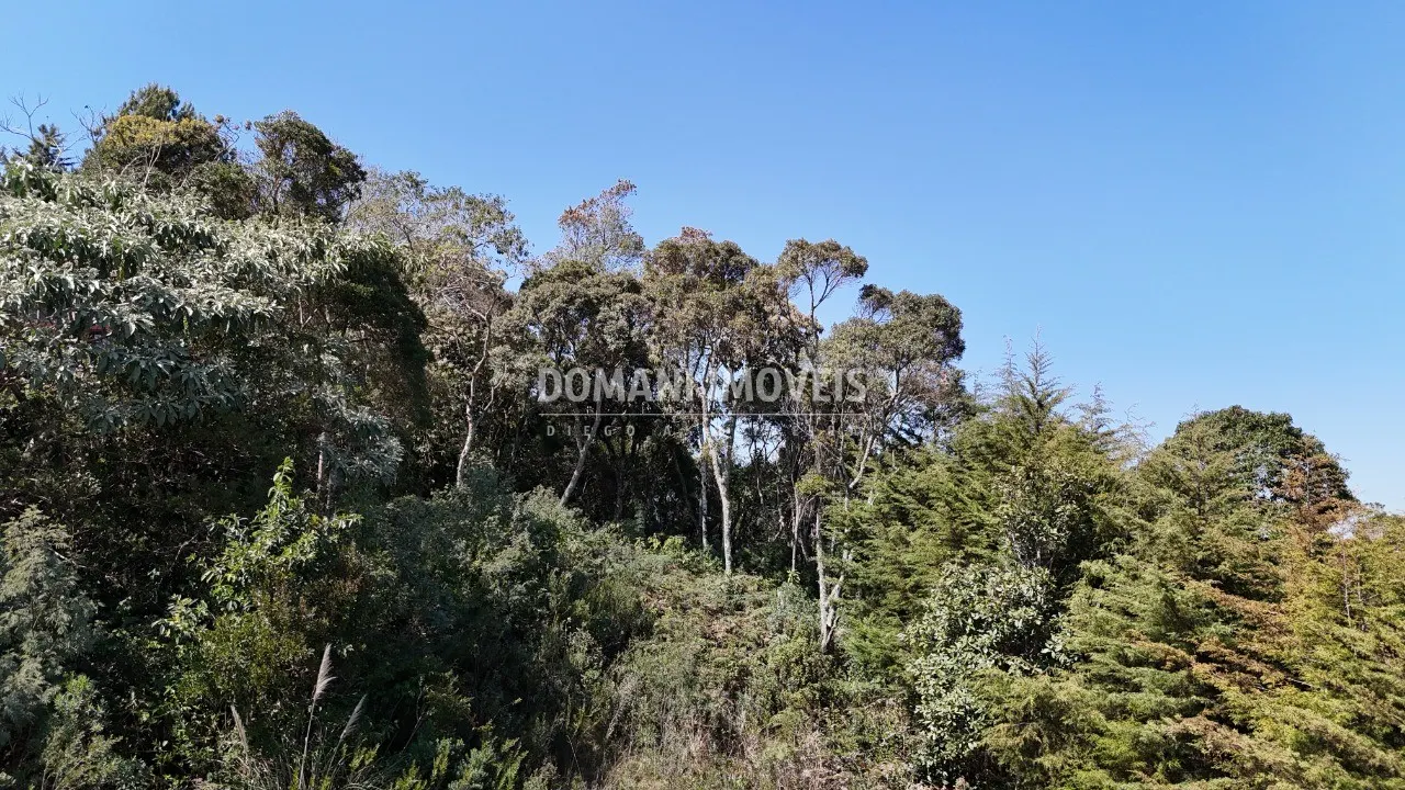 Plot for sale of 1,010 m² in Campos do Jordão, SP, Brazil