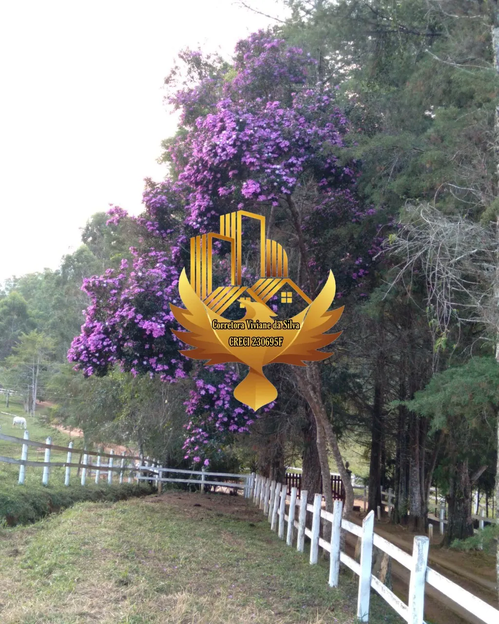 Small farm for sale of 41 acres in Guaratinguetá, SP, Brazil