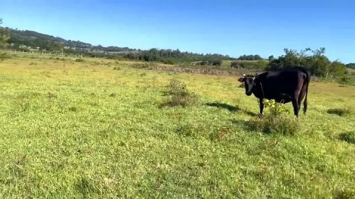 Sítio à venda de 3 ha em Santo Antônio da Patrulha, RS, Brasil