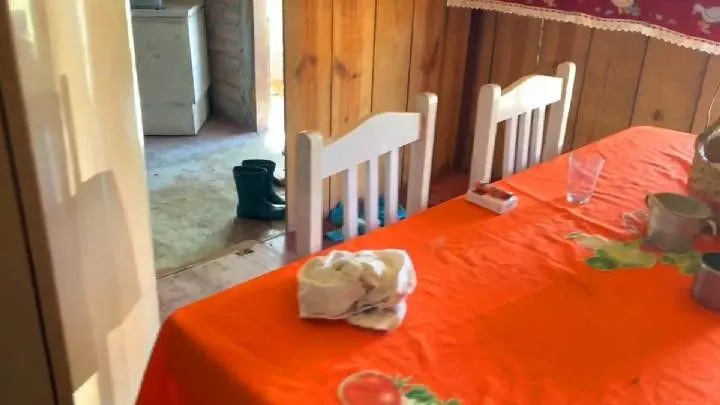 Sítio à venda de 3 ha em Santo Antônio da Patrulha, RS, Brasil