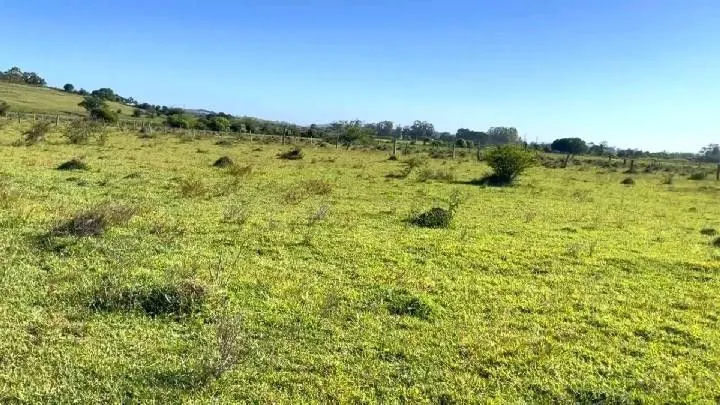 Sítio à venda de 3 ha em Santo Antônio da Patrulha, RS, Brasil