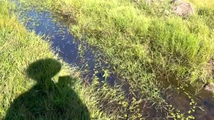 Sítio à venda de 3 ha em Santo Antônio da Patrulha, RS, Brasil