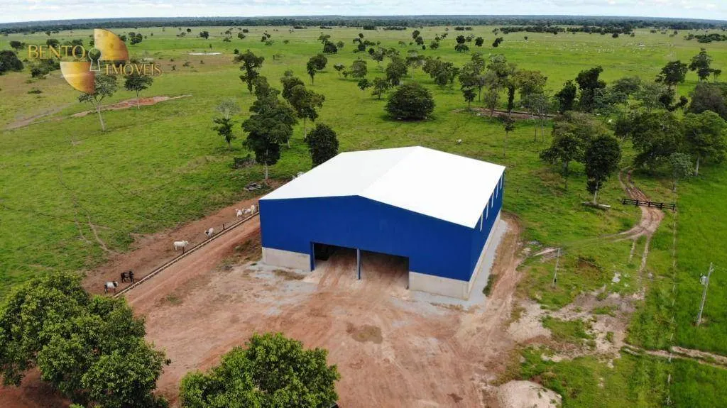 Farm for sale of 10,131 acres in Porto Estrela, MT, Brazil