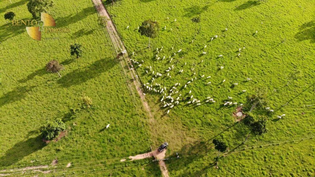 Farm for sale of 10,131 acres in Porto Estrela, MT, Brazil