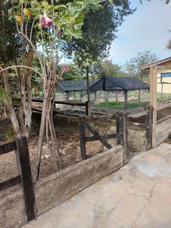 Farm for sale of 10,131 acres in Porto Estrela, MT, Brazil