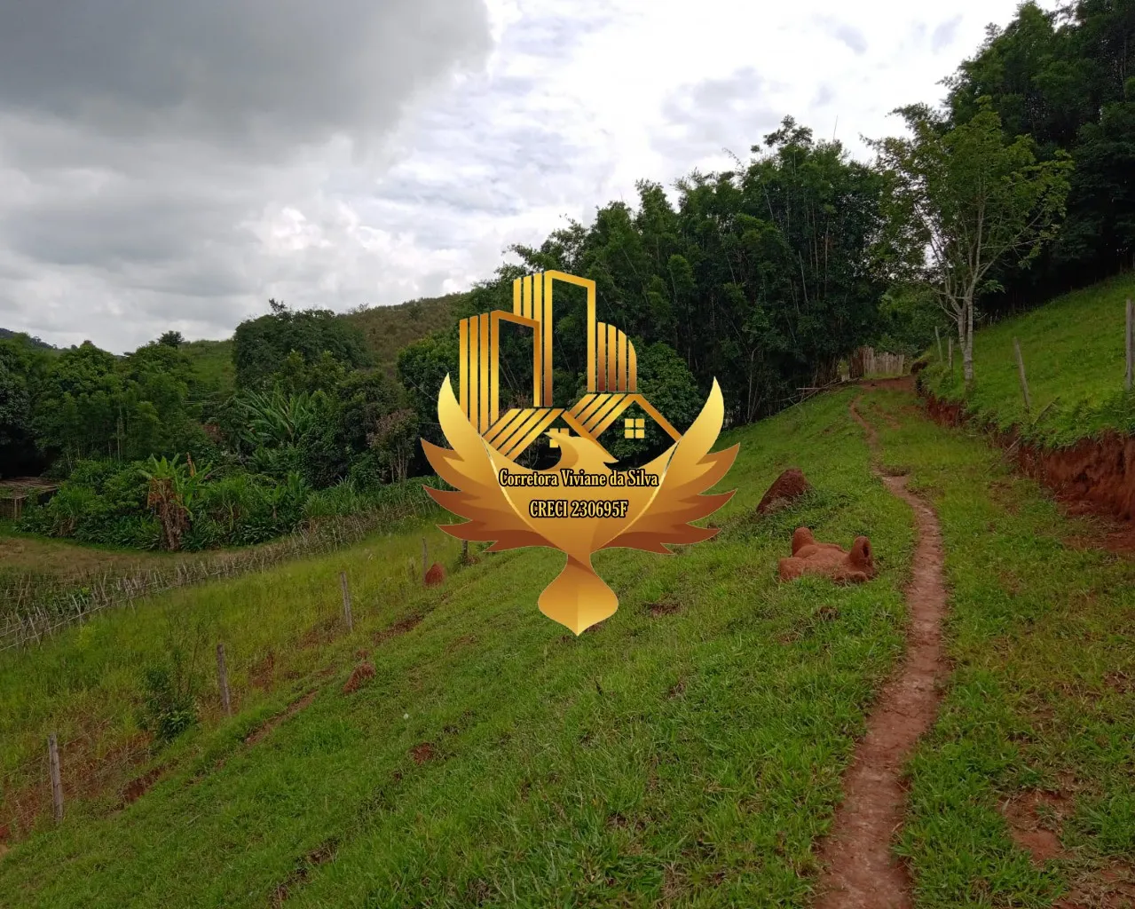 Small farm for sale of 60 acres in São Luiz do Paraitinga, SP, Brazil