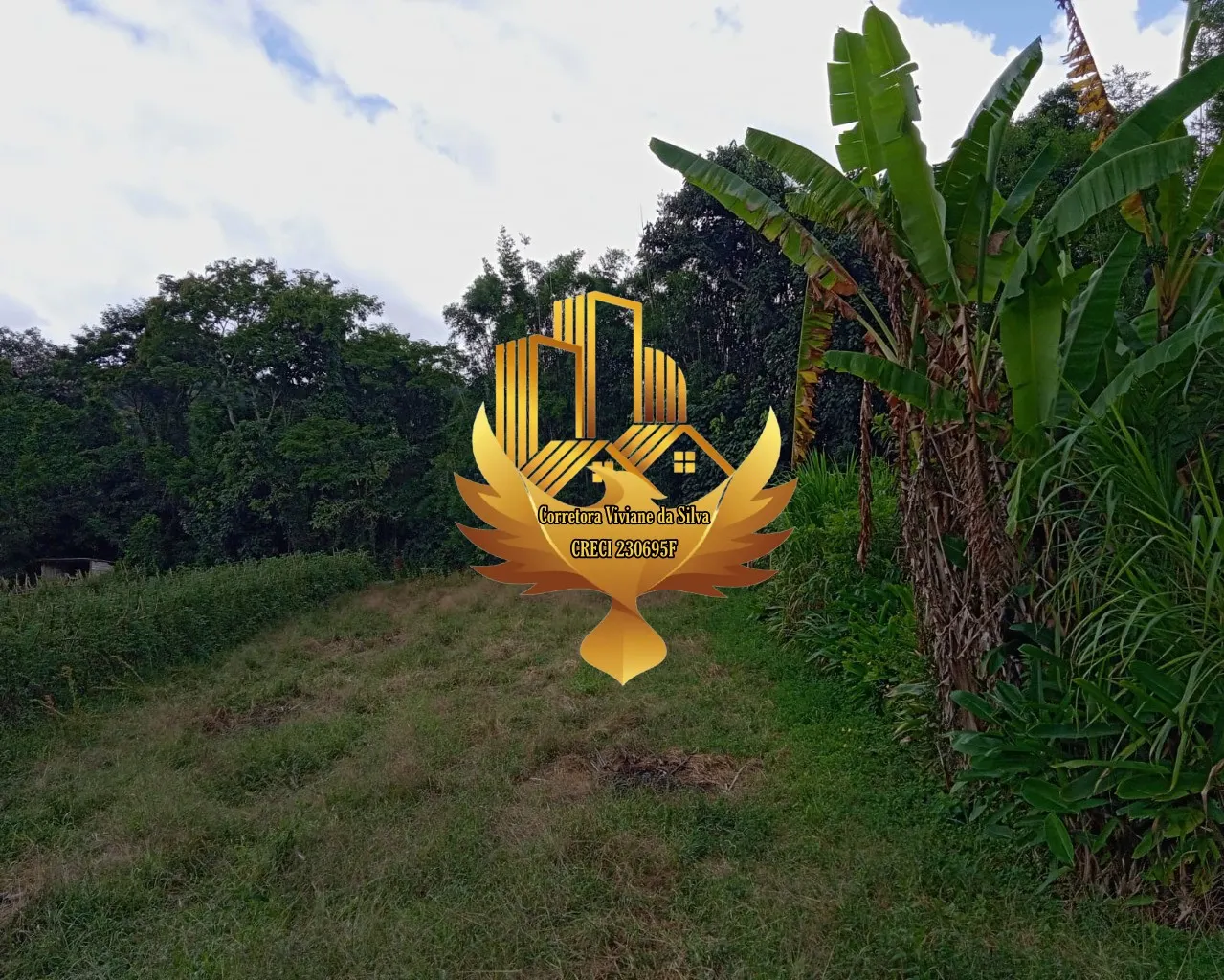 Small farm for sale of 60 acres in São Luiz do Paraitinga, SP, Brazil