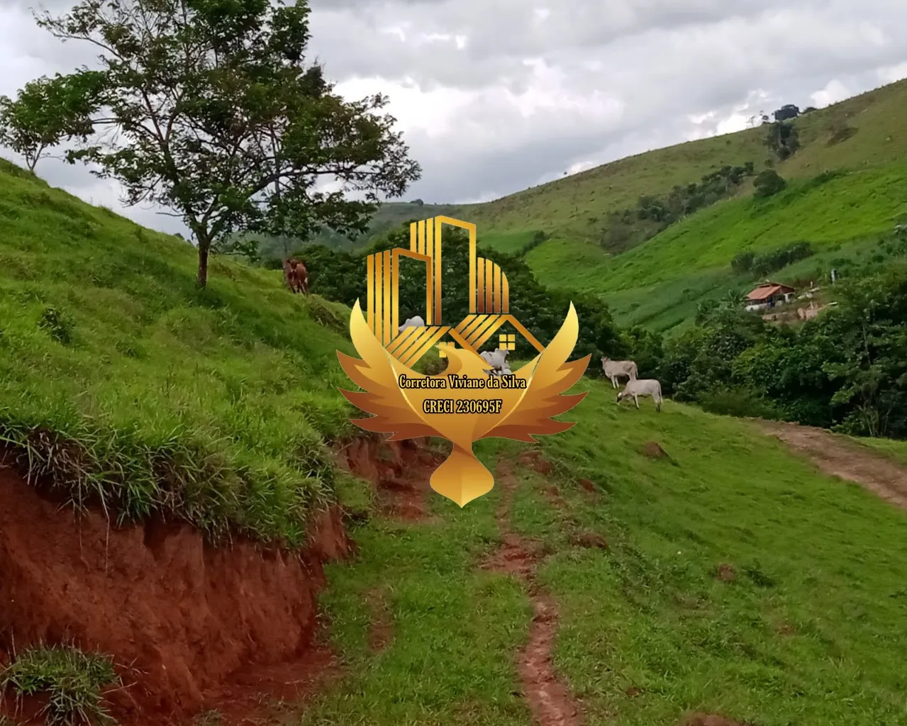 Small farm for sale of 60 acres in São Luiz do Paraitinga, SP, Brazil