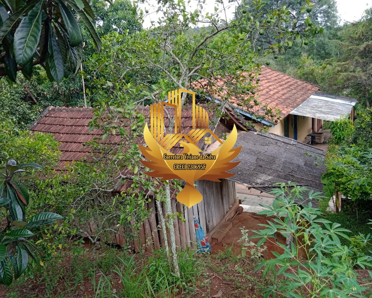 Small farm for sale of 60 acres in São Luiz do Paraitinga, SP, Brazil