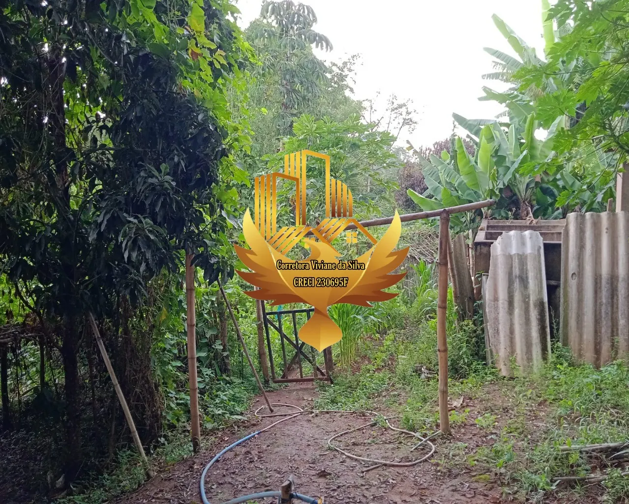 Small farm for sale of 60 acres in São Luiz do Paraitinga, SP, Brazil
