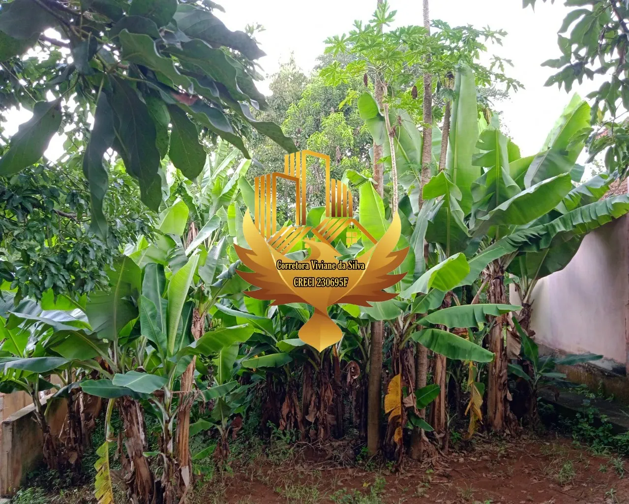 Small farm for sale of 60 acres in São Luiz do Paraitinga, SP, Brazil