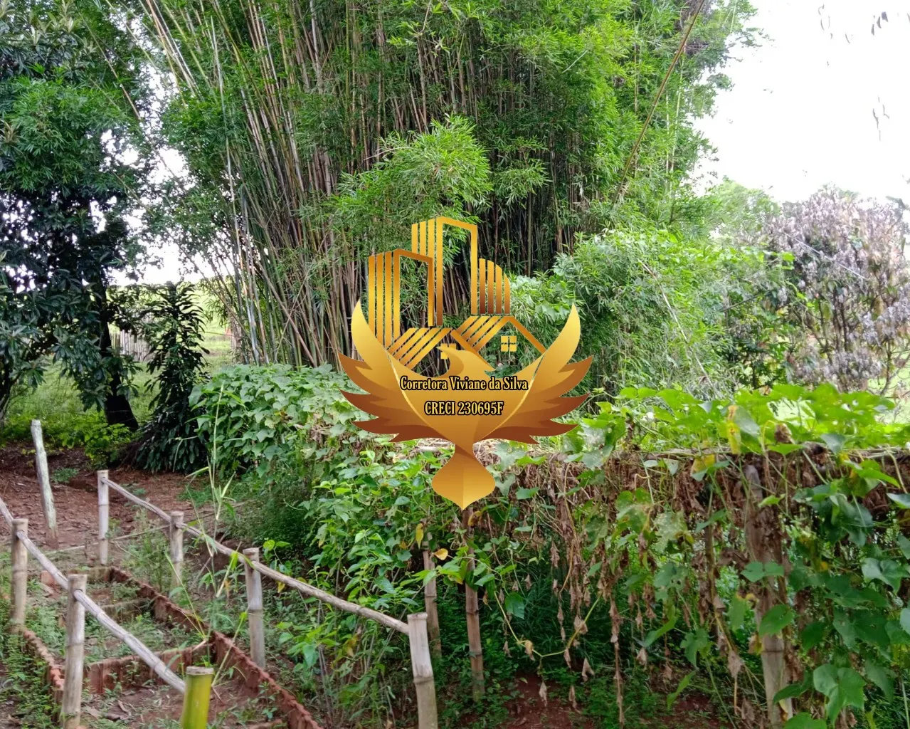 Small farm for sale of 60 acres in São Luiz do Paraitinga, SP, Brazil