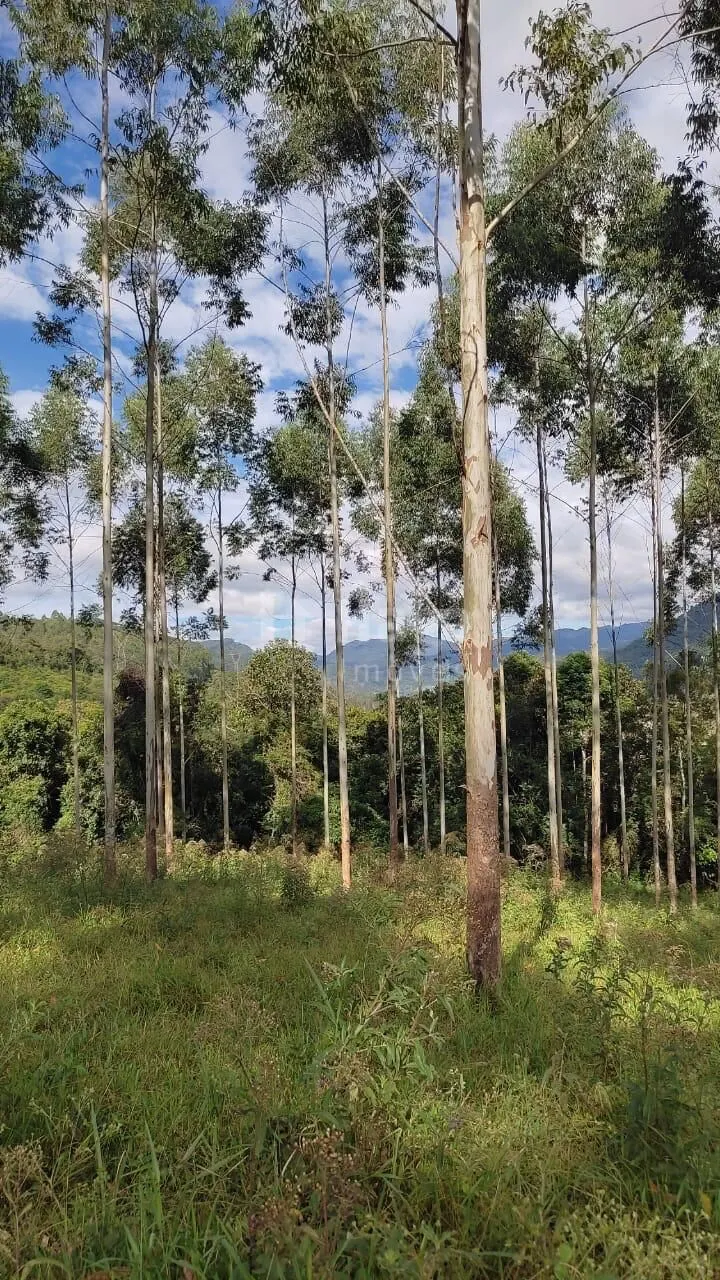 Fazenda à venda de 12 ha em Major Gercino, SC, Brasil