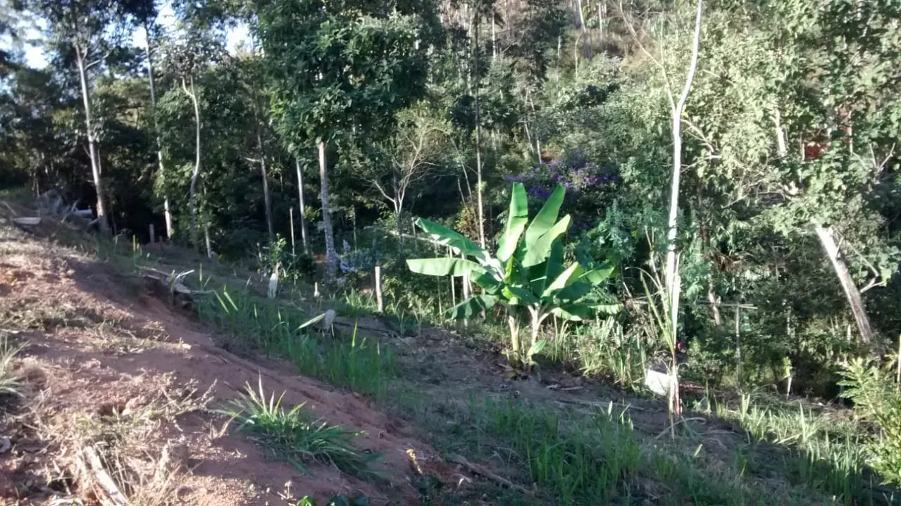 Terreno à venda de 4 ha em Monteiro Lobato, SP, Brasil