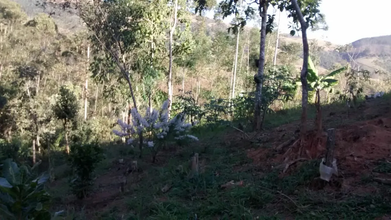 Terreno à venda de 4 ha em Monteiro Lobato, SP, Brasil