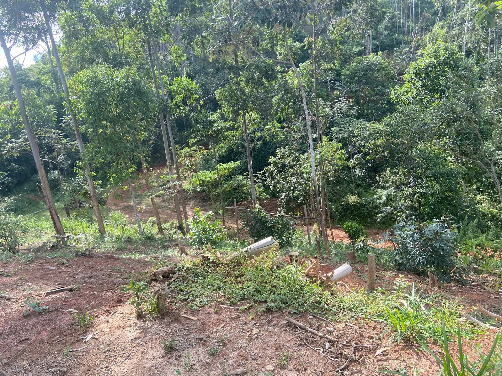 Terreno à venda de 4 ha em Monteiro Lobato, SP, Brasil