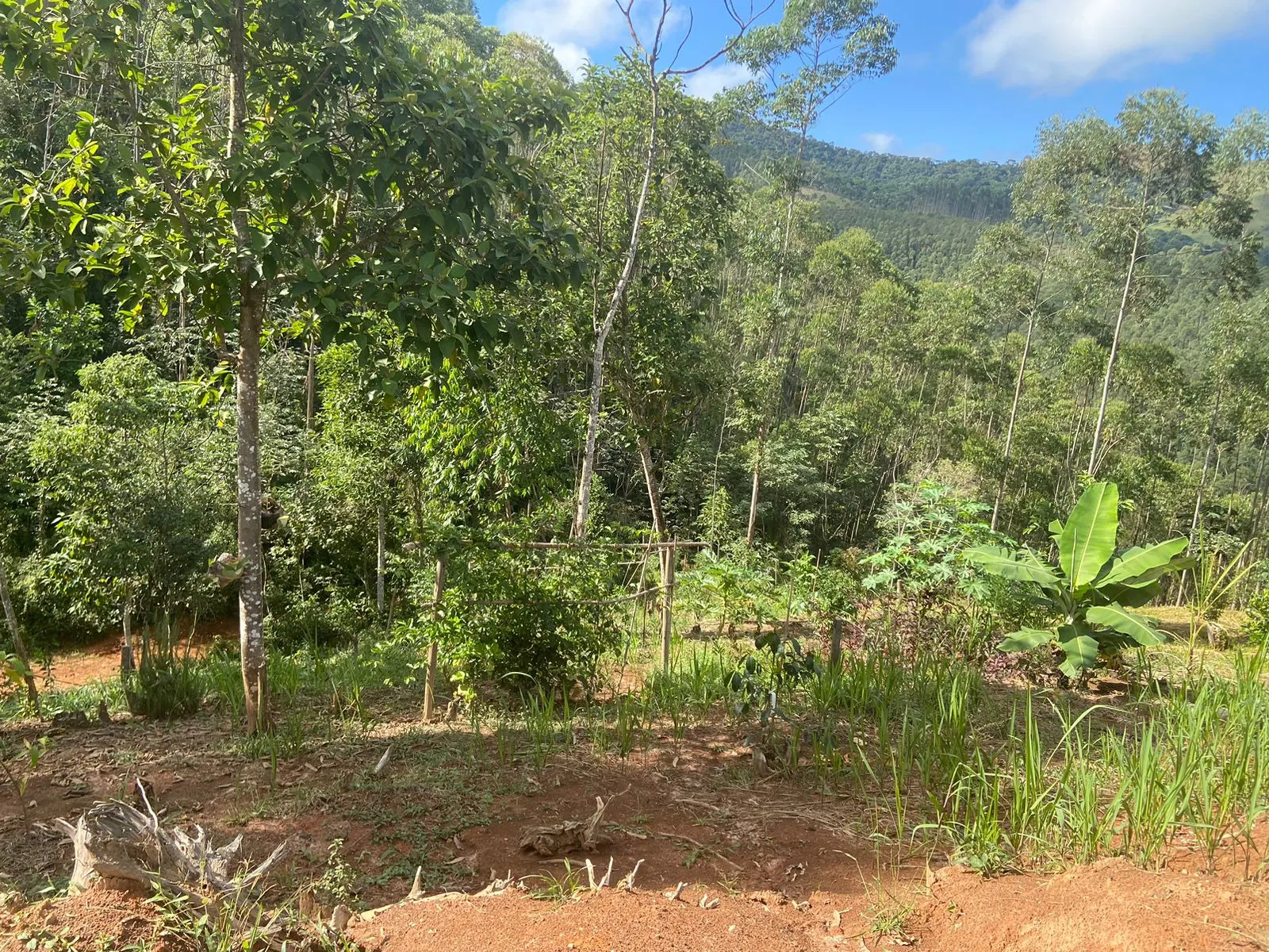 Terreno à venda de 4 ha em Monteiro Lobato, SP, Brasil