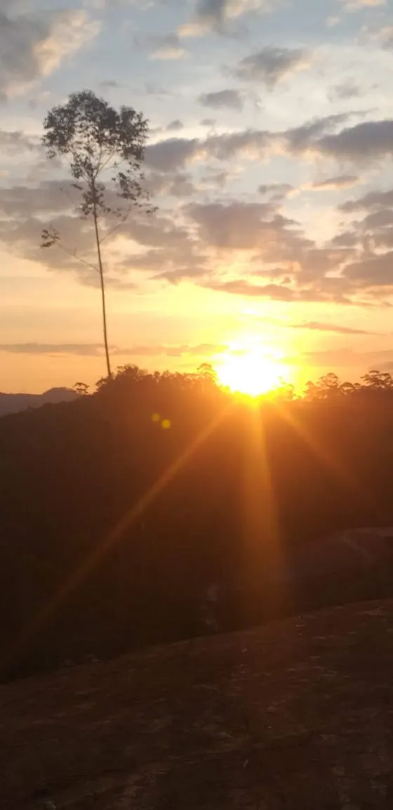 Terreno à venda de 4 ha em Monteiro Lobato, SP, Brasil