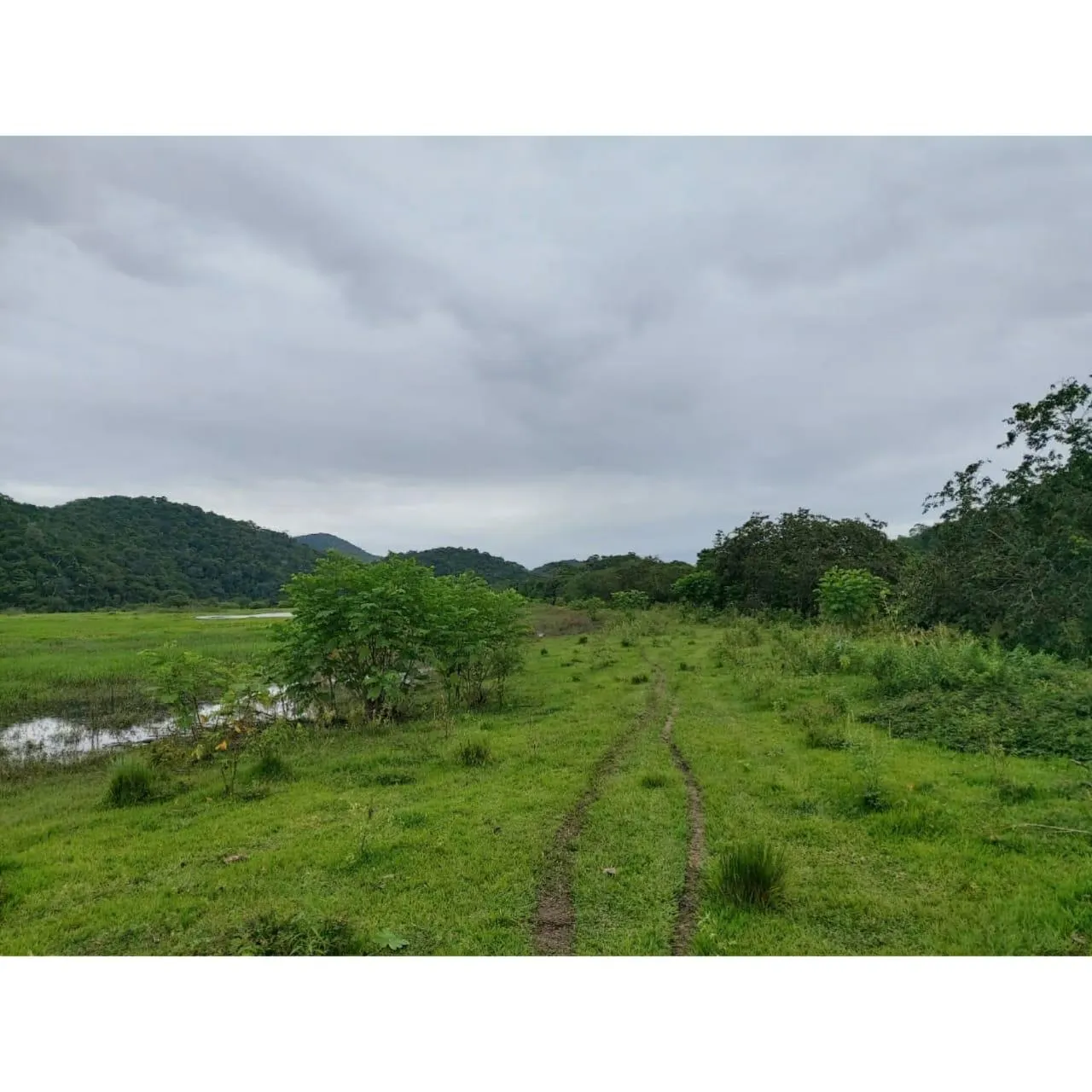Fazenda à venda de 63 ha em Silva Jardim, RJ, Brasil