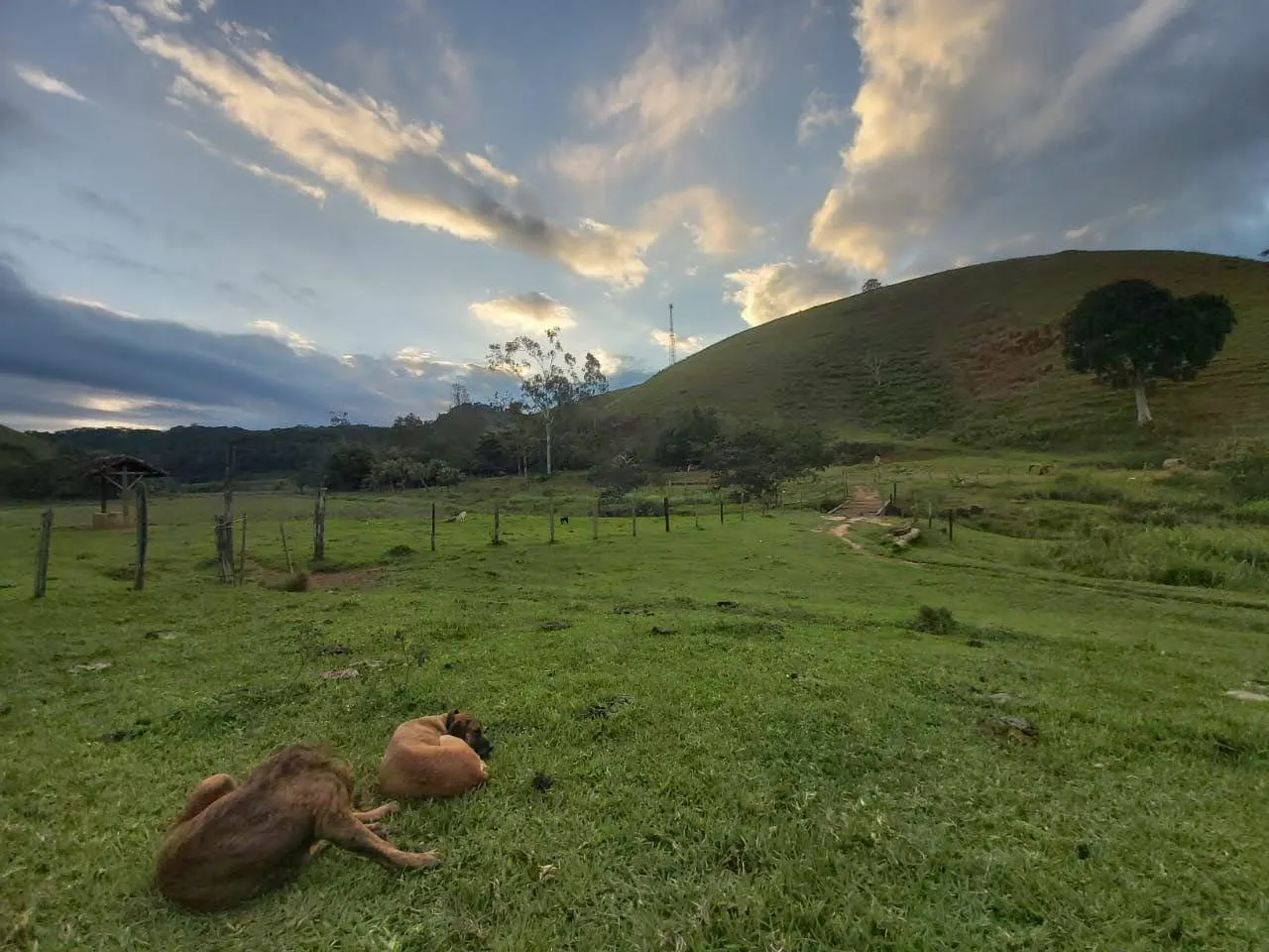 Fazenda à venda de 63 ha em Silva Jardim, RJ, Brasil