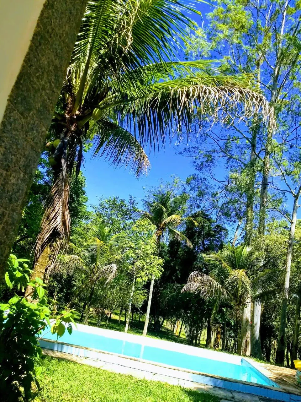Fazenda à venda de 63 ha em Silva Jardim, RJ, Brasil