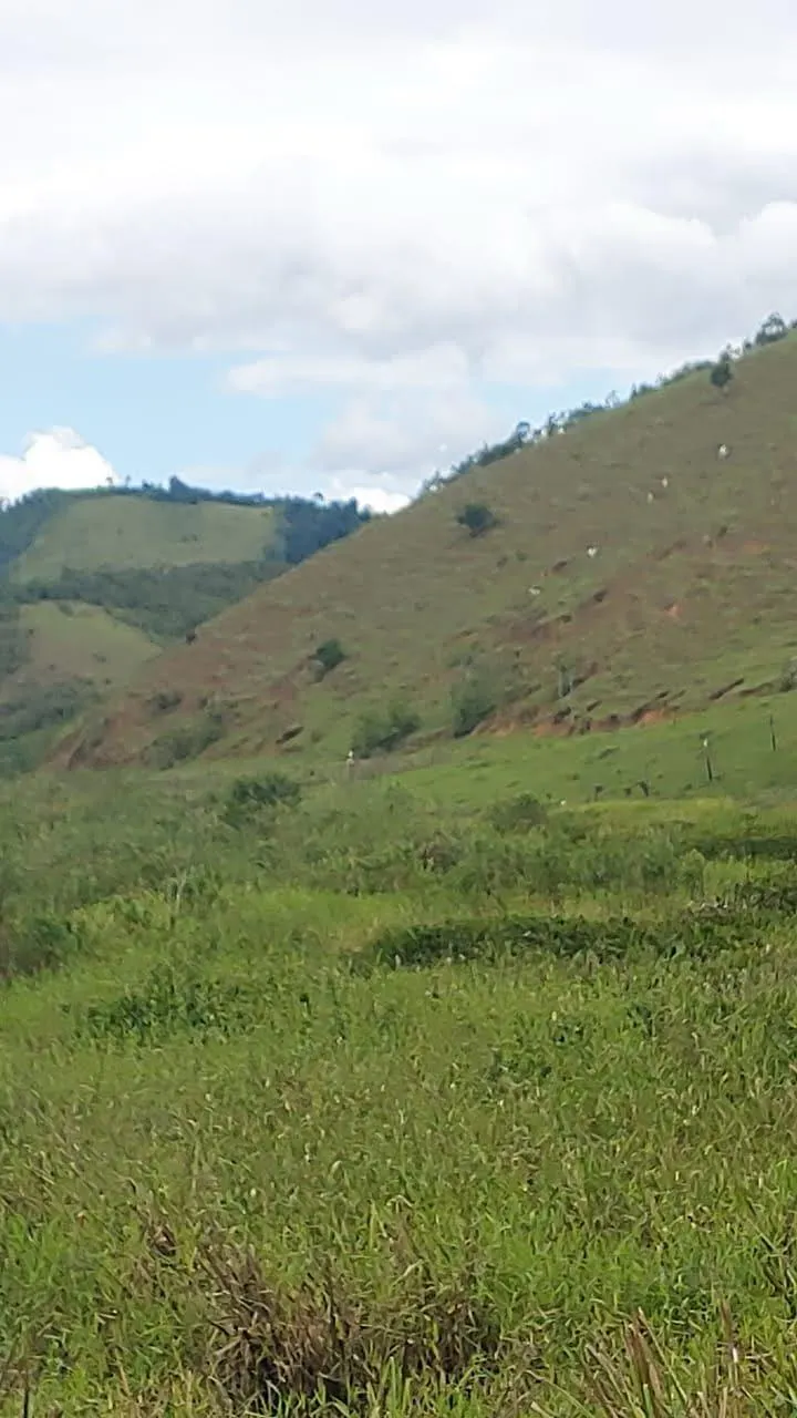 Fazenda à venda de 63 ha em Silva Jardim, RJ, Brasil