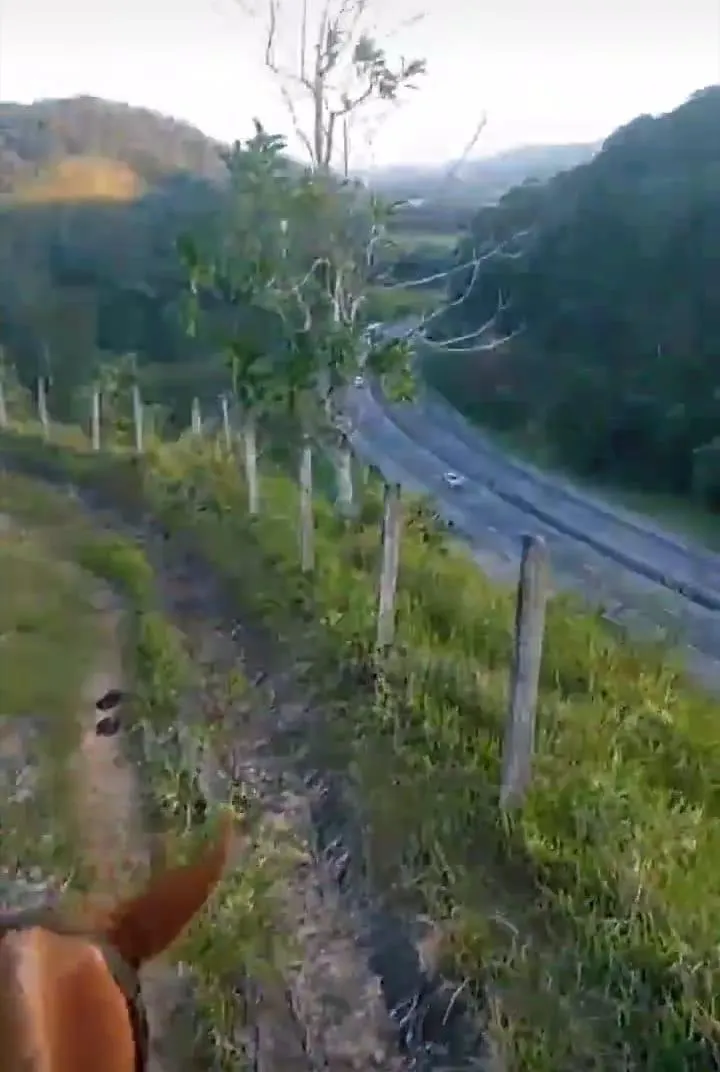 Fazenda à venda de 63 ha em Silva Jardim, RJ, Brasil
