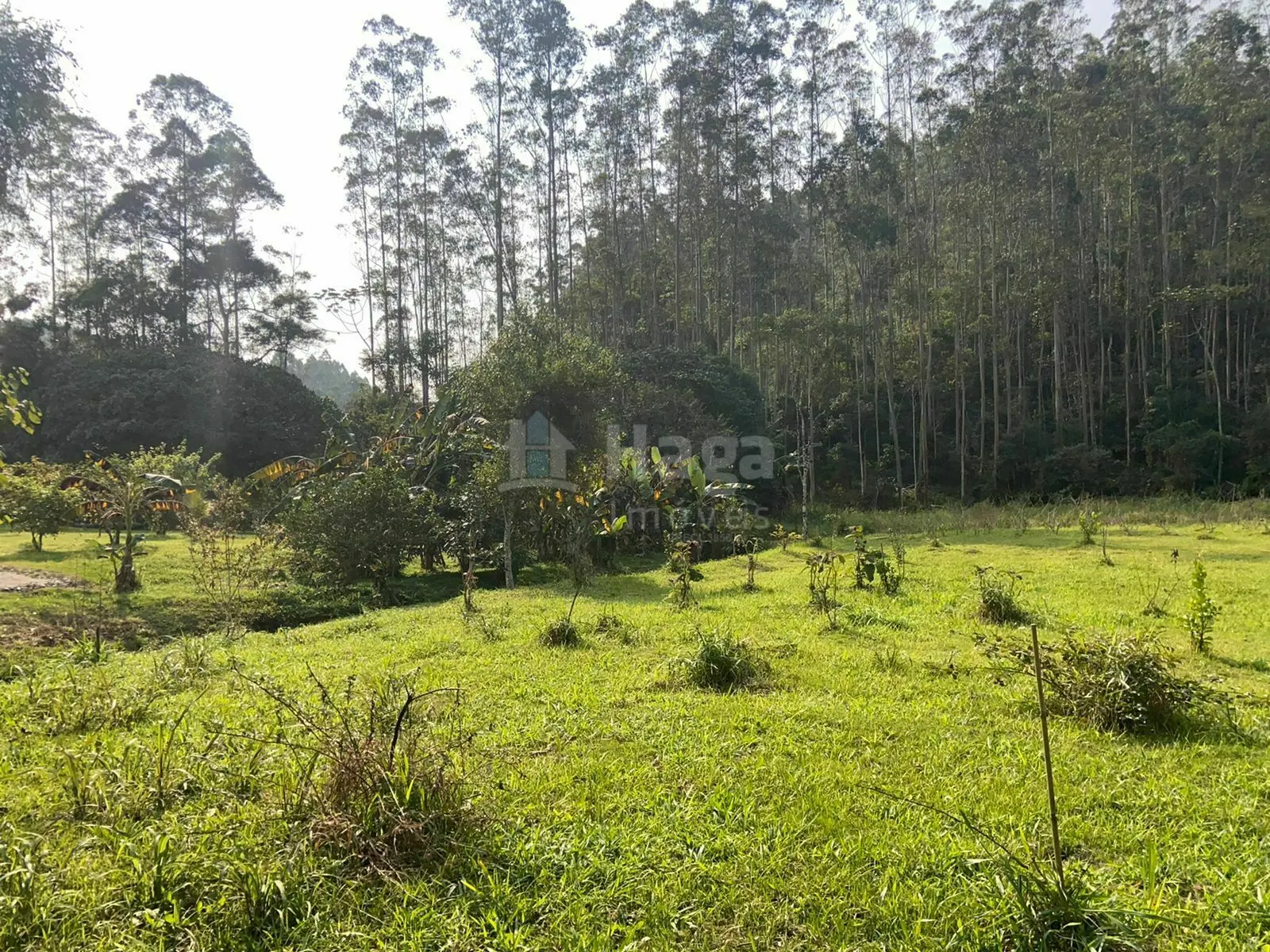 Country home for sale of 2 acres in Canelinha, SC, Brazil