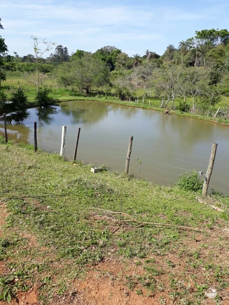 Small farm for sale of 8 acres in Itapira, SP, Brazil