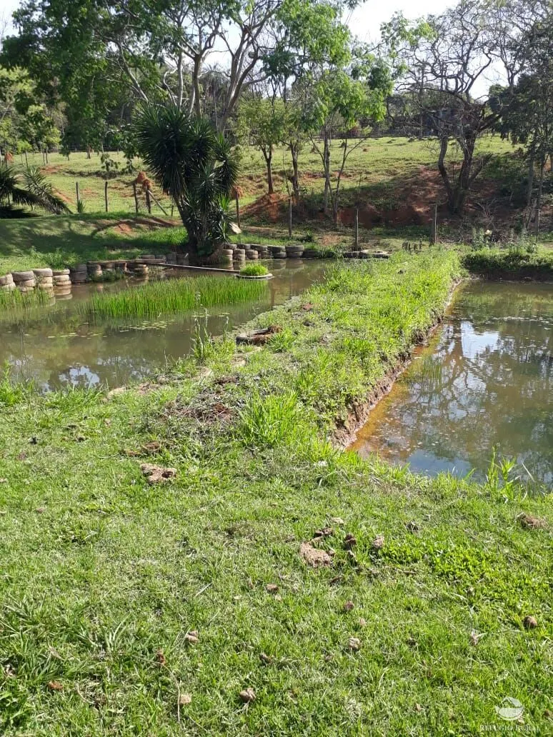 Small farm for sale of 8 acres in Itapira, SP, Brazil