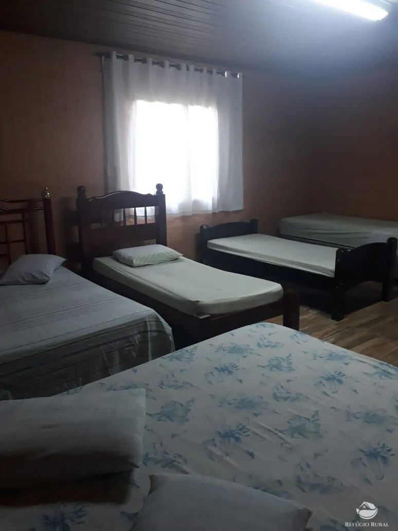 Small farm for sale of 8 acres in Itapira, SP, Brazil
