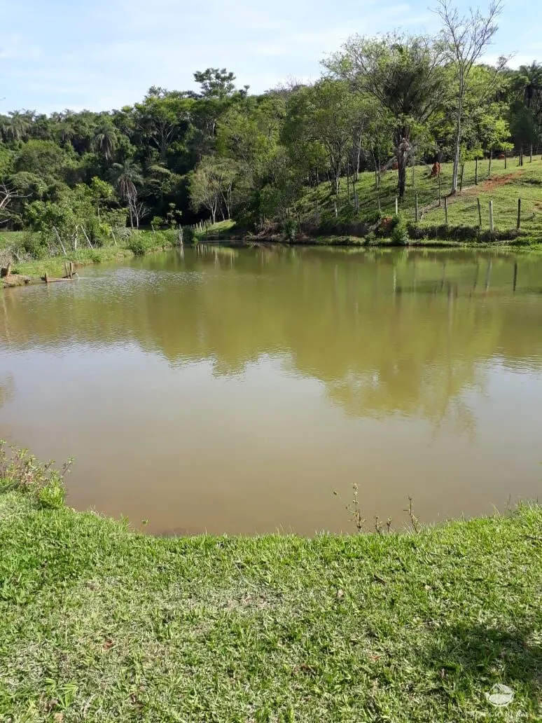 Small farm for sale of 8 acres in Itapira, SP, Brazil