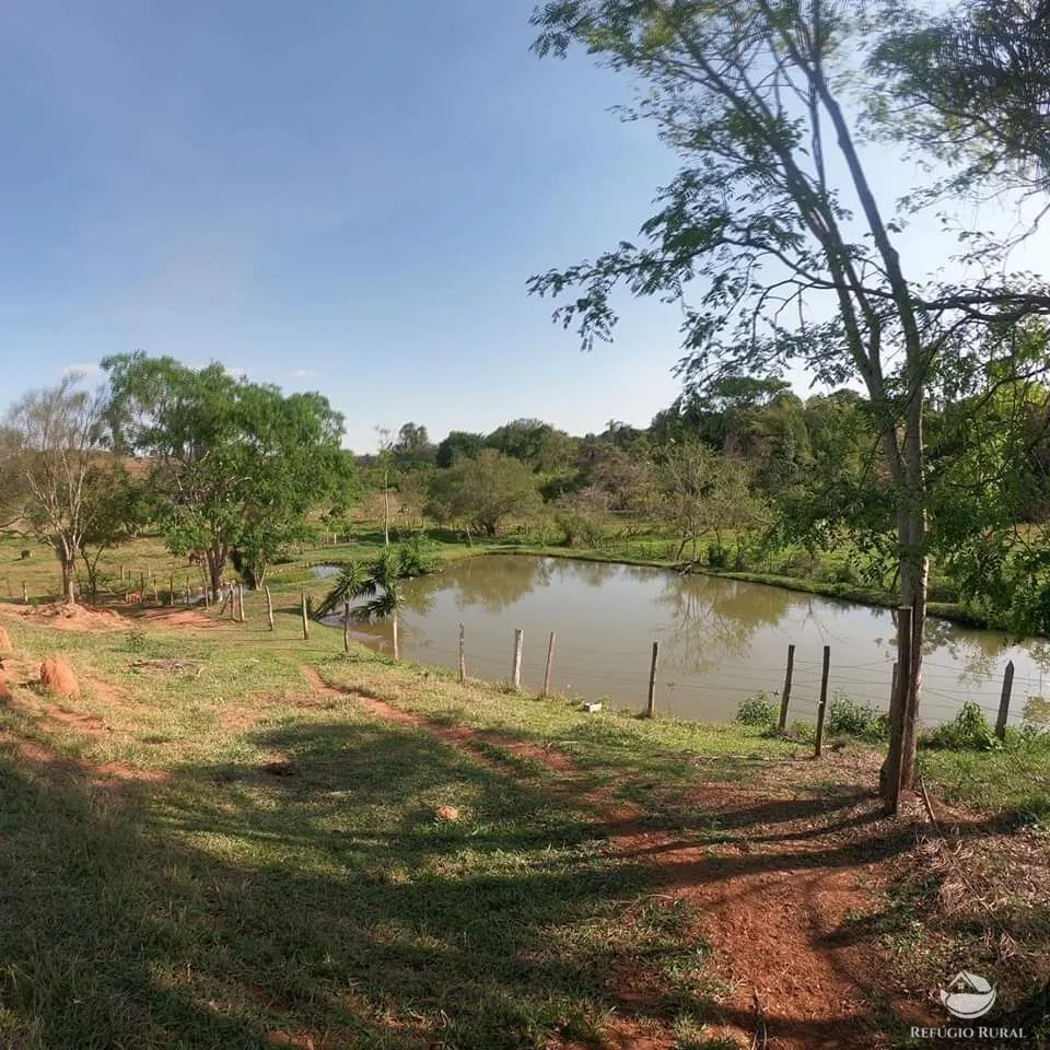 Small farm for sale of 8 acres in Itapira, SP, Brazil