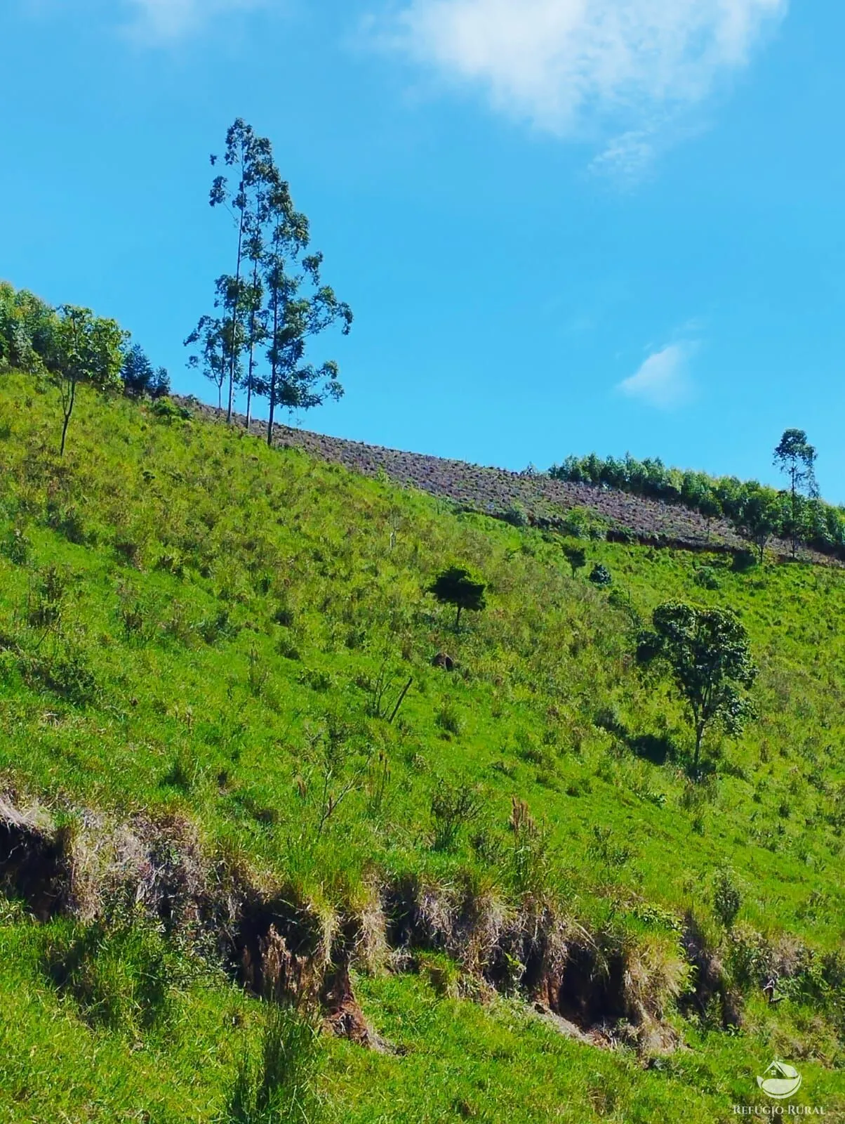 Chácara à venda de 8.397 m² em Igaratá, SP, Brasil