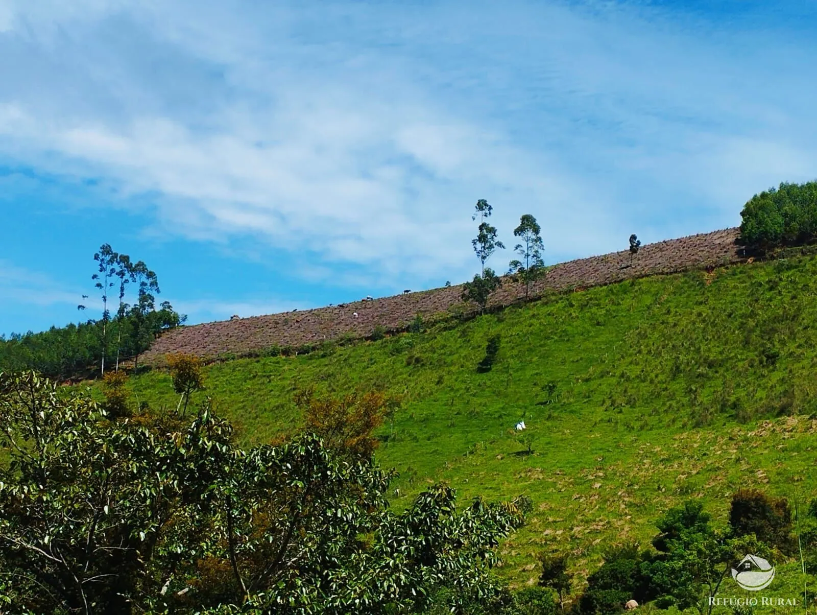 Chácara à venda de 8.397 m² em Igaratá, SP, Brasil