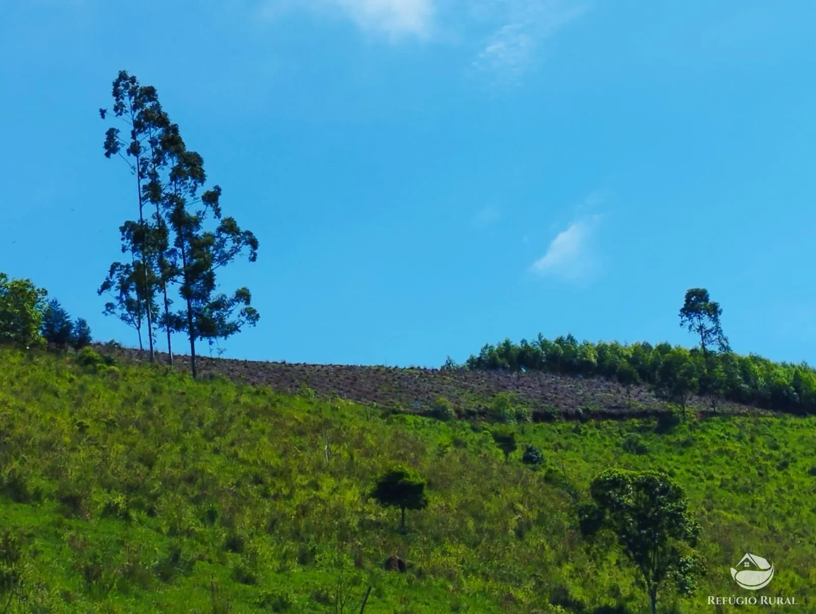 Chácara à venda de 8.397 m² em Igaratá, SP, Brasil