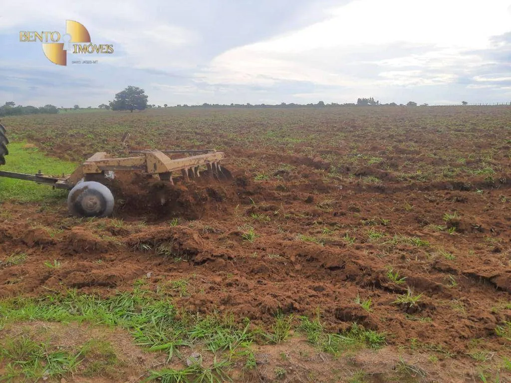 Farm for sale of 741 acres in Diamantino, MT, Brazil