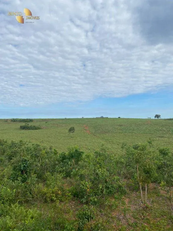 Farm for sale of 741 acres in Diamantino, MT, Brazil