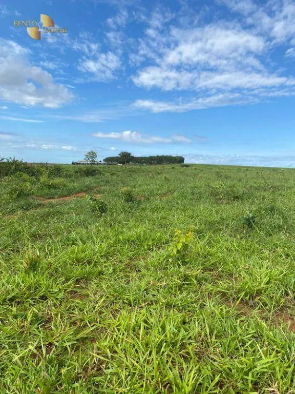 Farm for sale of 741 acres in Diamantino, MT, Brazil